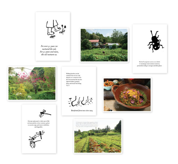 fund a land postcard set
