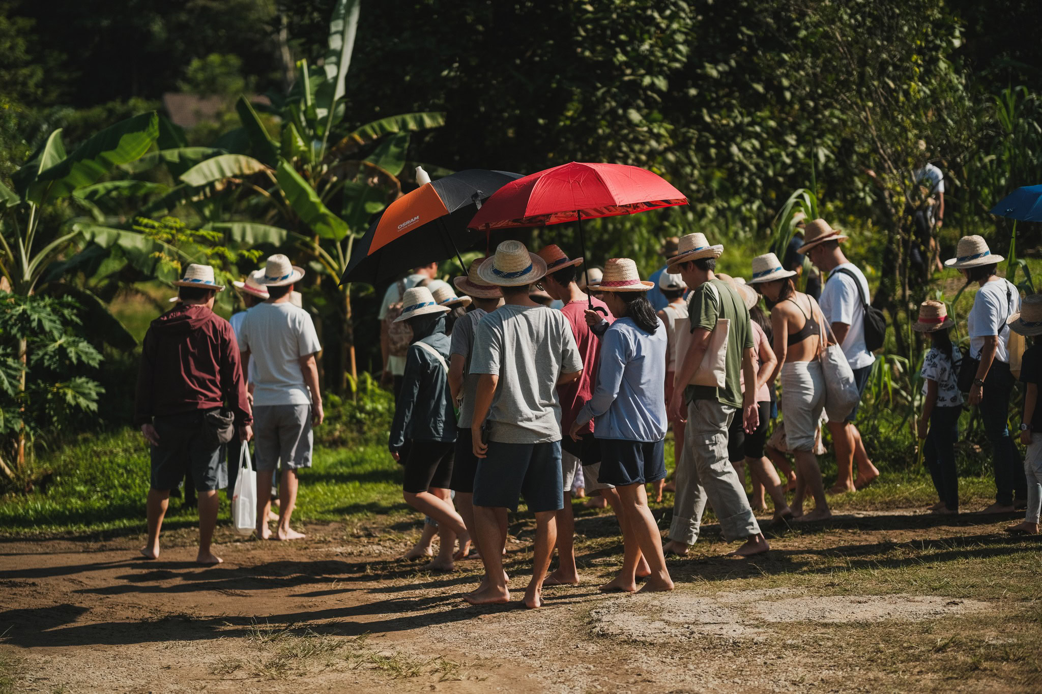 kongsi community market gk farm tour